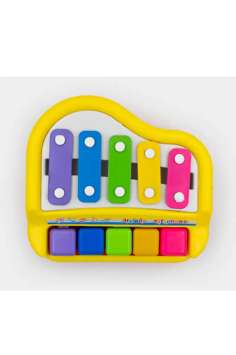 2 In 1 Musical Toy Xylophone & Piano for Kids (Multicolor)