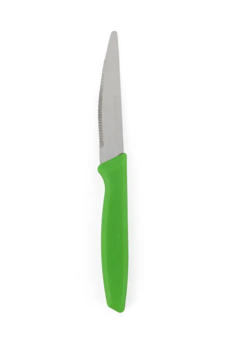 Prabha Stainless Steel Universal Sarrated Knife - 22cm