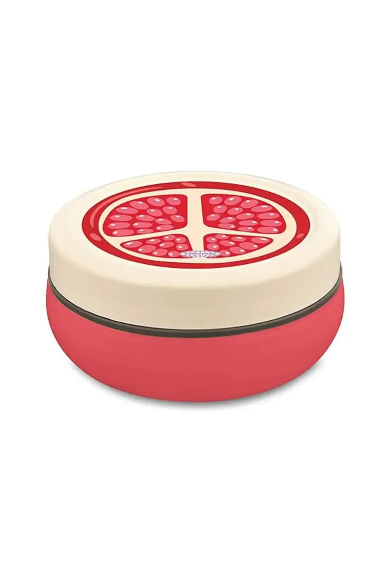 Asian Plastic & Stainless Steel Fun Meal Super Lunch Box - 350 ml