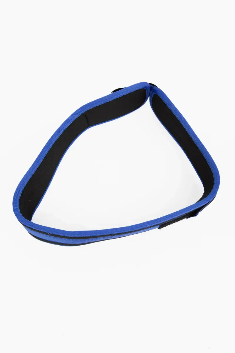 Back Support Weight lifting Gym Belt - (Blue, Large)