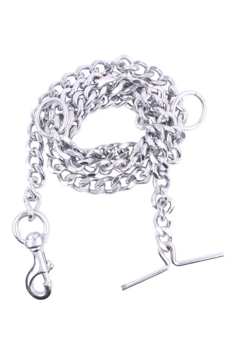 Stainless Steel Dog Leash (Silver) - Large