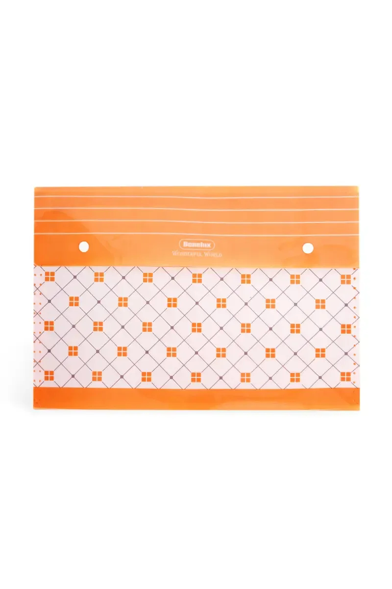 My Clear File Folder (Multicolor) - Pack of 1