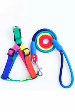 Canine Multicolor Rope Leash For Dog - Medium  017821MULMED